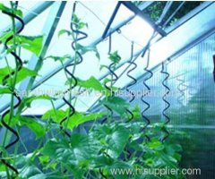 Tomato spiral plant support