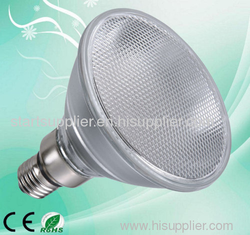 PAR30 LED Lamp