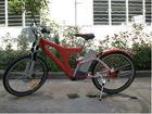 e-bicycle