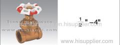 Brass gate valve