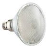 E27 LED PAR38 Lamp with figured glass cover