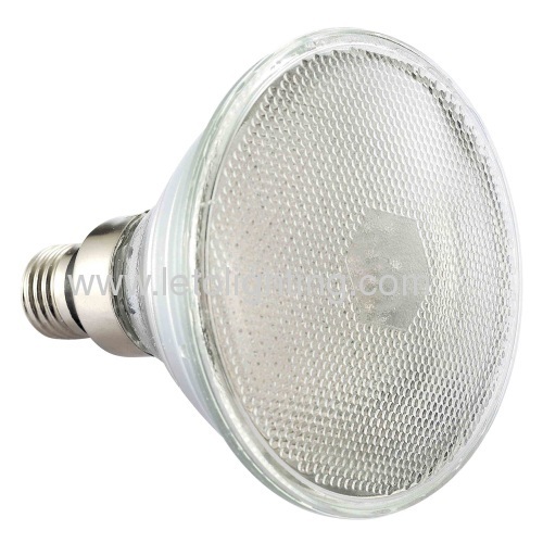E27 LED PAR38 Lamp with figured glass cover