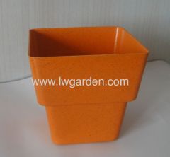 nursery pot