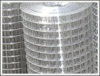 Welded Wire Mesh