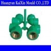 PPR injection pipe fitting mould