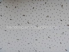 Acoustic Ceiling Board