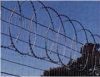 Razor Wire Flatwrap Coil