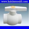 PPR injection pipe fitting mould