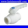 PPR injection pipe fitting mould