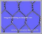 hexagonal wire mesh