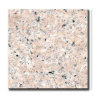 Granite Tile (Good Price)