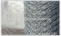 Hexagonal Wire Netting