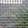 Galvanized Square Wire Mesh