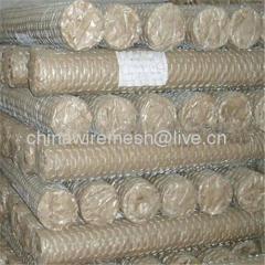poultry wire(factory)