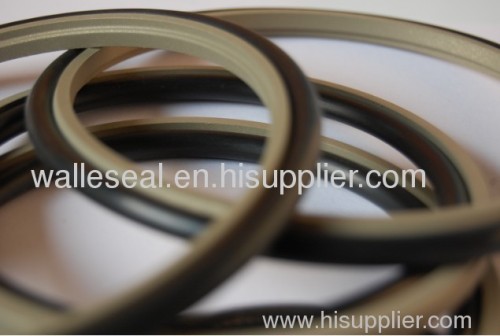 PTFE Step Seals