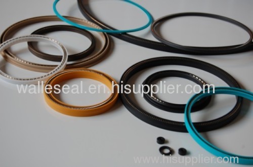 PTFE Spring Seal