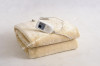 Plush Fleece polyester electric heating blanket