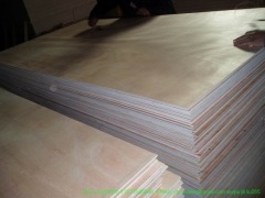 commercial plywood