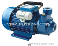 0.75HP Peripheral Pumps