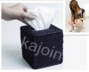 kajoin 1280X960 Toilet roll box Hidden Camera With Motion Detection and Remote Control Function 16GB