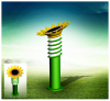 solar lawn light