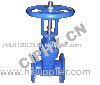 Ductile Iron Resilient Gate Valve