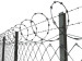 razor barbed welded wire mesh fences