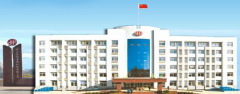 CITIC IC LUOYANG HEAVY MACHINERY CO., LTD