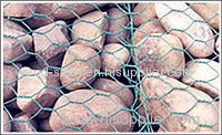 hexagonal wire mesh