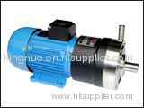 CQ Series Magnetic Drive Pump