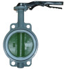 casting wafer butterfly valve