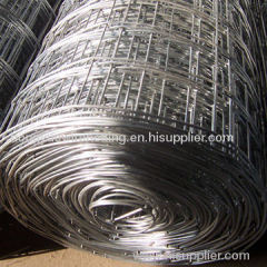 Galvanized Welded Wire Mesh