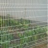 Square welded gardenfence