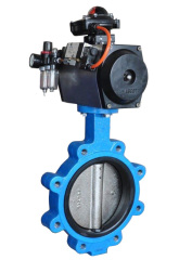 lugged butterfly valve