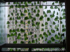 intelligent invisible protection net