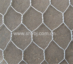 hexagonal wire mesh