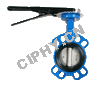 Casting Iron Butterfly valve IFAXWF-NP