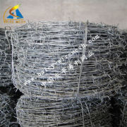 Anping County Haley Wire Mesh Products Co.,Ltd