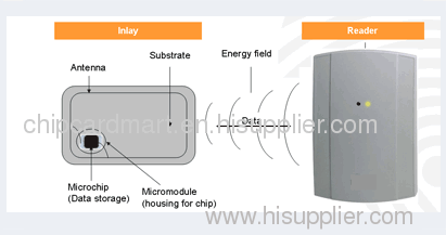 Rfid Card