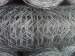 Glvanized Hexagonal Wire Mesh