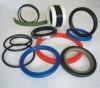 Oil seal