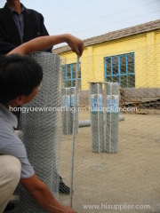 Hexagonal Wire Mesh Net