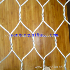 Hexgonal Wire Mesh