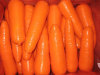 Fresh Carrot(Dehydrated Carrot,Dried Carrot,Diced Carrot)