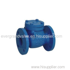 DIN Cast Iron Check Valve