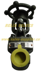China Forged Steel Gate Valve