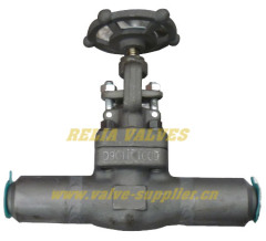 Forged Steel Gate Valve With Nipple