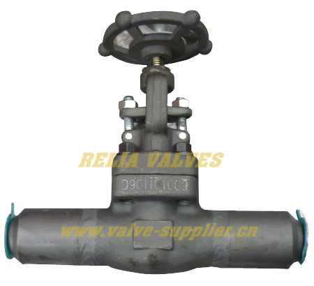 Forged Steel Gate Valve With Nipple