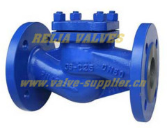 Din Check Valves