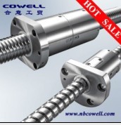 Precision ball screw assembly